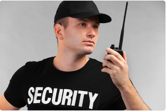 Security Employment Agency