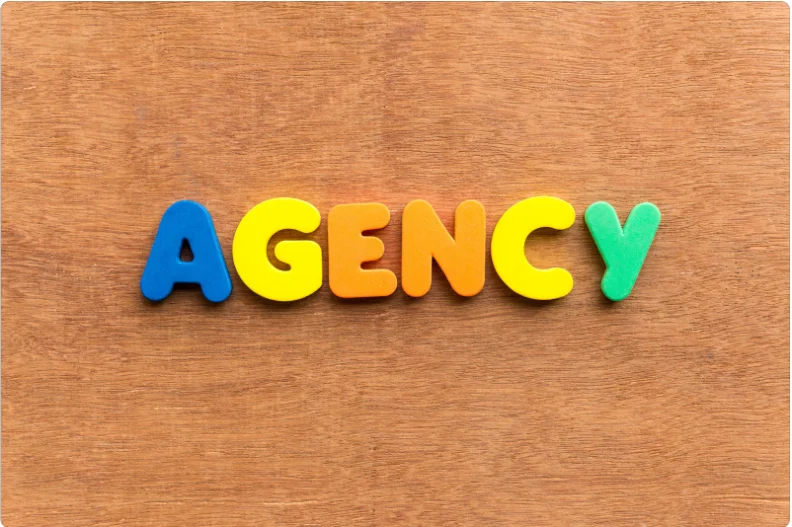 Top Placement Agencies for Career Success